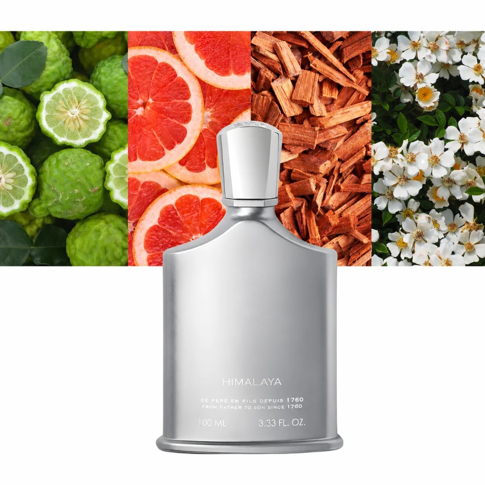 Aventus Fragrance For Men 100m – Perfume In Fragrance recenzja i cena