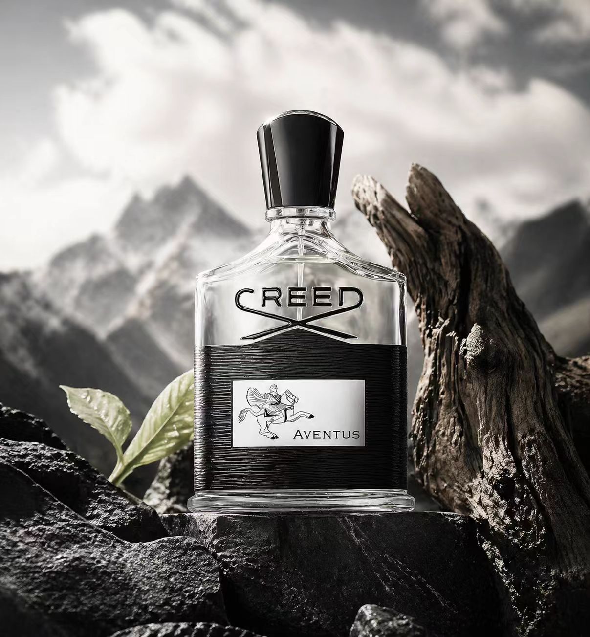Creed Aventus: Odważna i ponad – Creed Aventus Dupe recenzja i cena