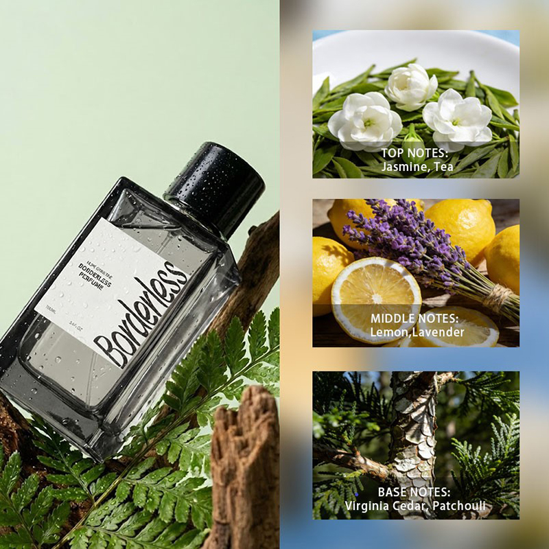 Luksusowy, bezbarierowy męski  – Perfume Fragrance Man recenzja i cena